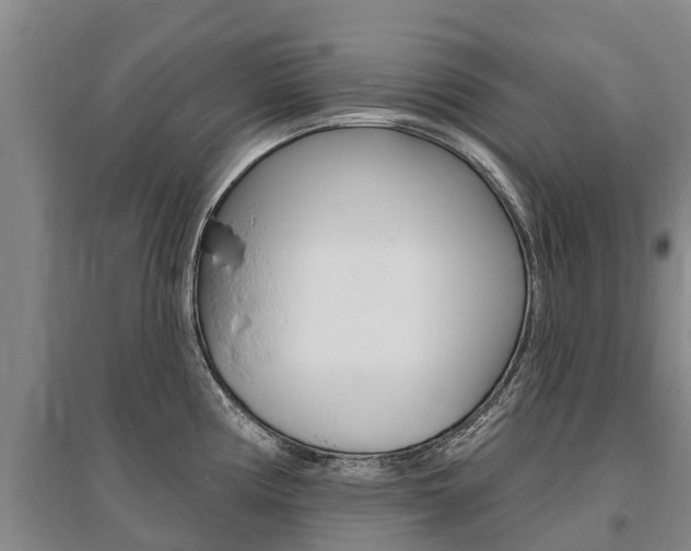 X0000095931194200801110910