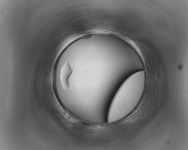 X0000095931195200801110910