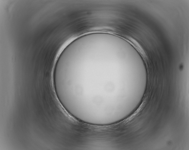 X0000095931196200801110910