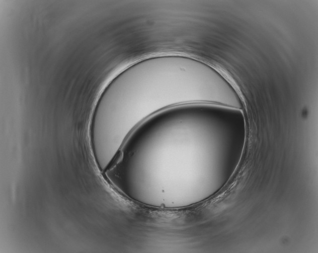 X0000095931197200801110910