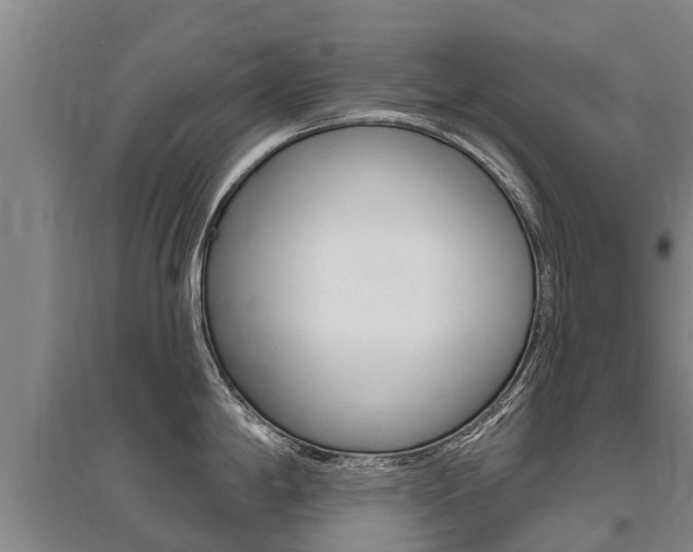 X0000095931198200801110910