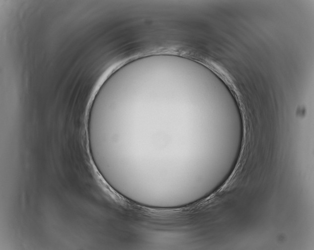 X0000095931200200801110910