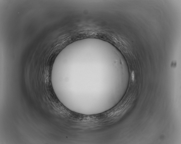 X0000095931203200801110910
