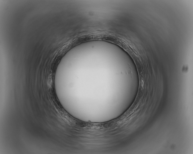 X0000095931204200801110910