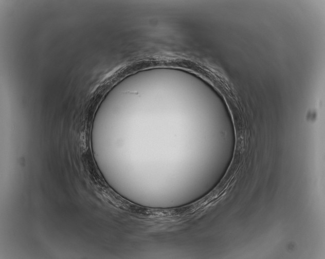 X0000095931205200801110910