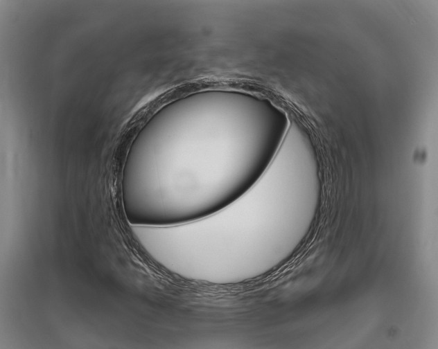 X0000095931206200801110910