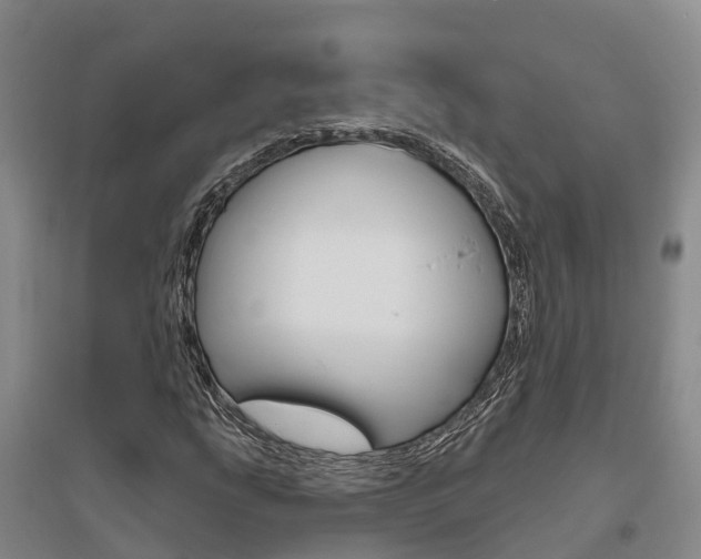 X0000095931207200801110910