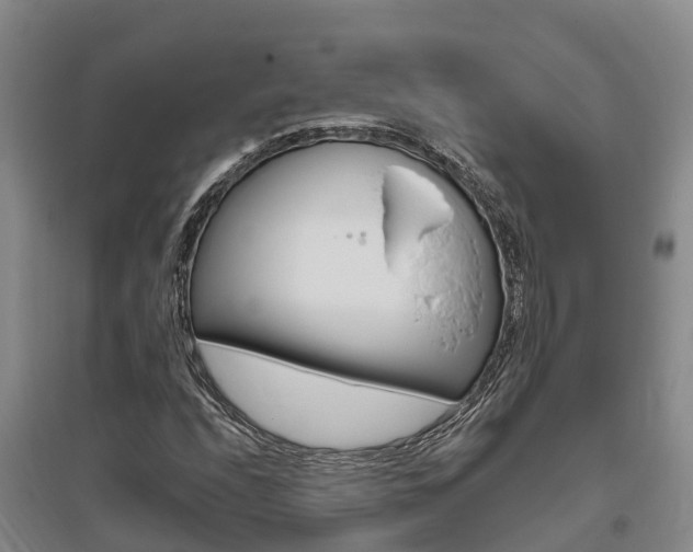 X0000095931208200801110910