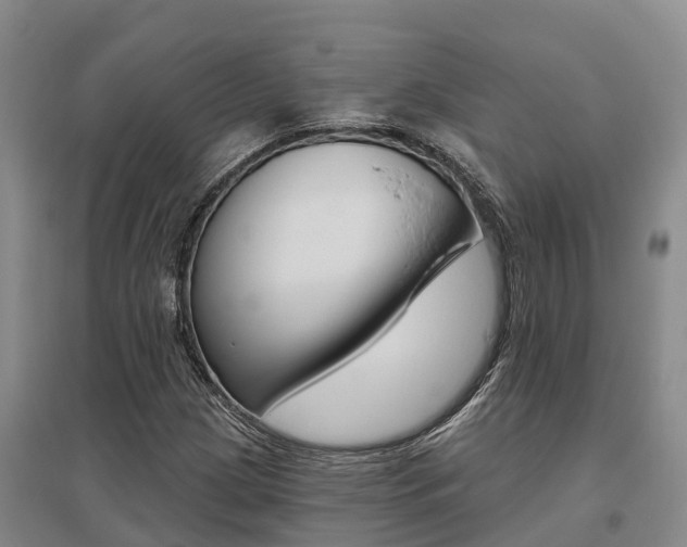 X0000095931209200801110910