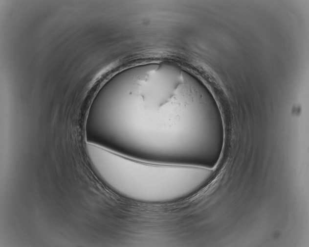 X0000095931210200801110910