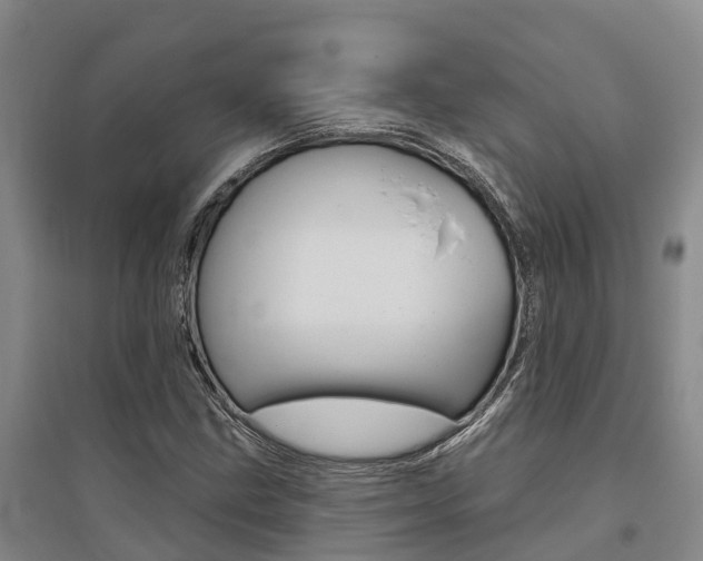 X0000095931211200801110910