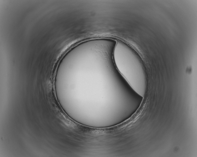 X0000095931212200801110910