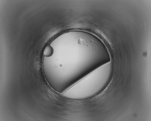 X0000095931213200801110910