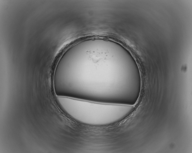 X0000095931214200801110910