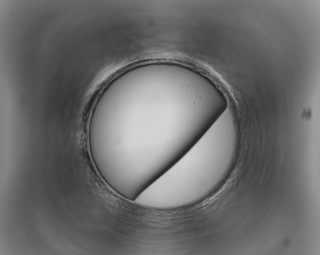 X0000095931215200801110910