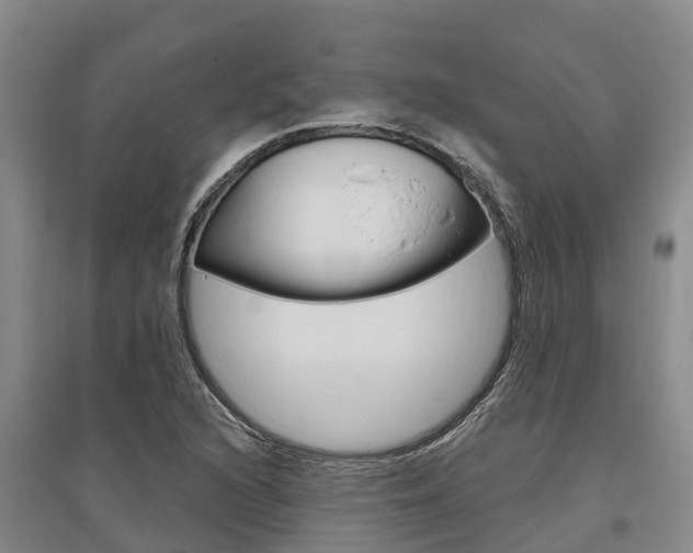 X0000095931216200801110910