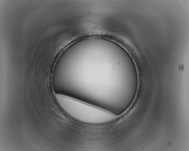 X0000095931217200801110910
