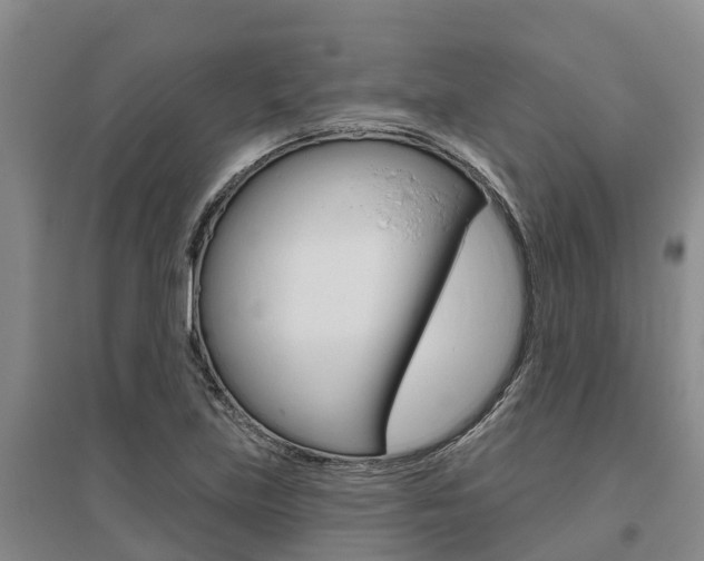 X0000095931219200801110910