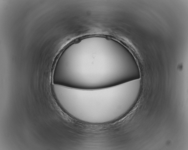 X0000095931220200801110910