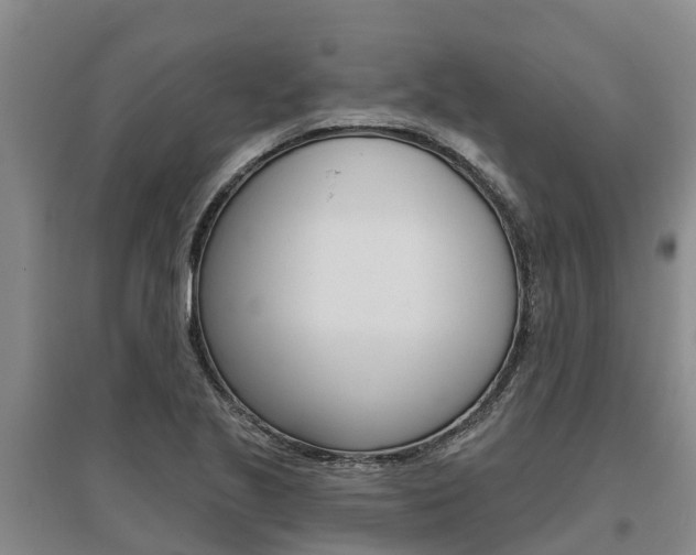 X0000095931221200801110910