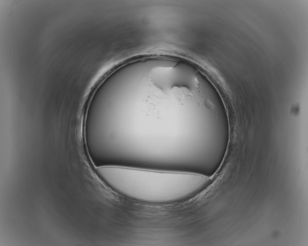 X0000095931224200801110910