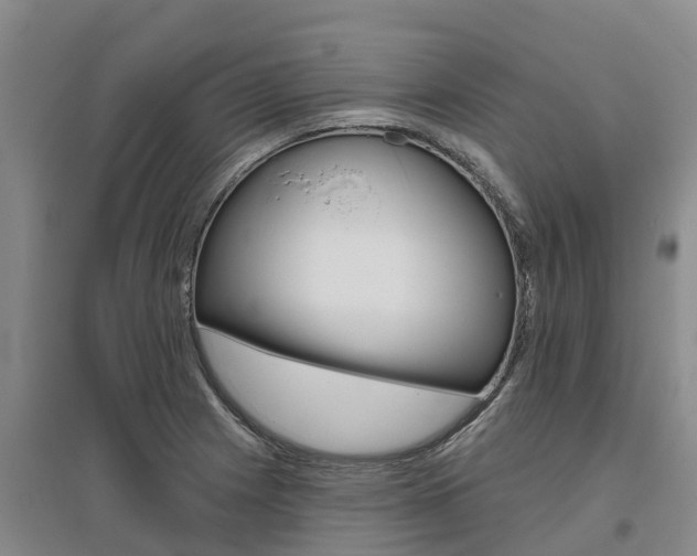 X0000095931225200801110910
