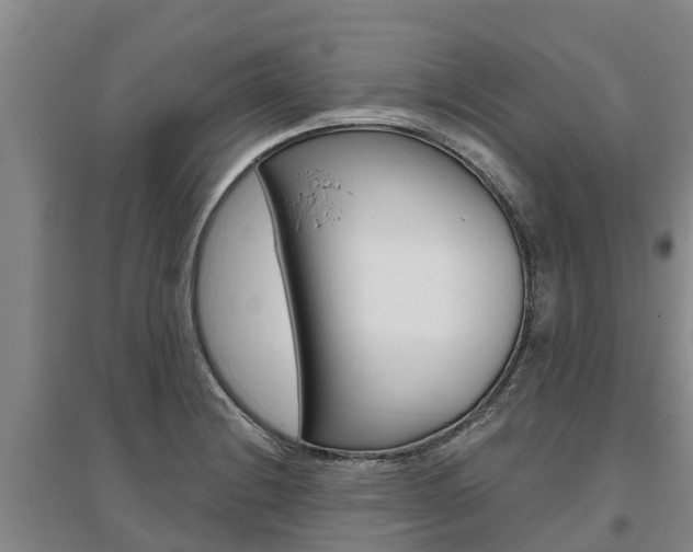 X0000095931228200801110910