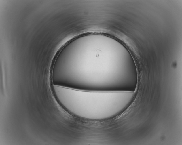 X0000095931229200801110910