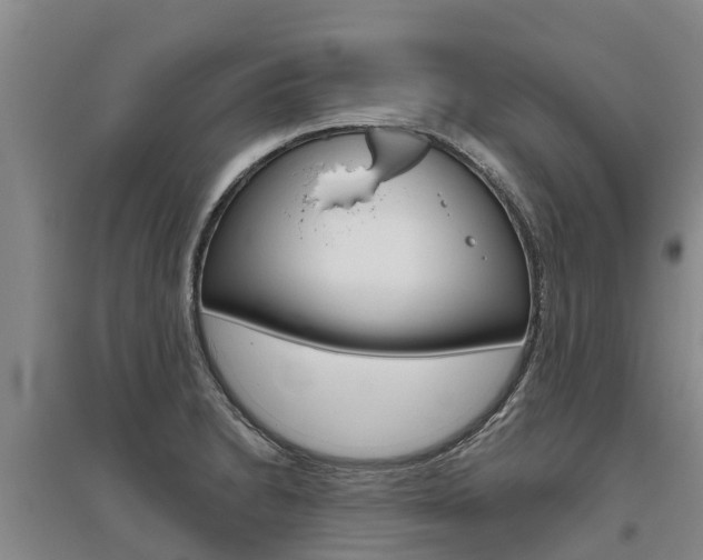 X0000095931230200801110910