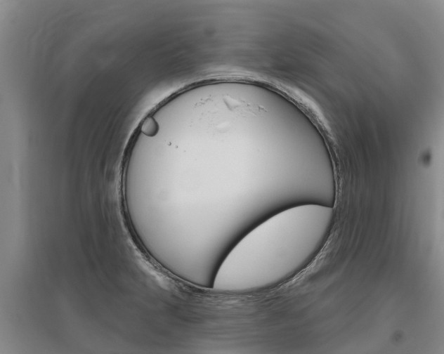 X0000095931231200801110910