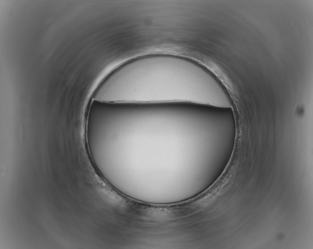 X0000095931232200801110910