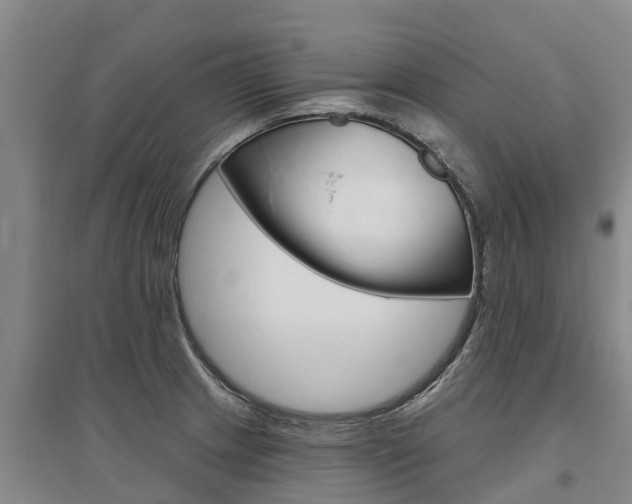 X0000095931233200801110910
