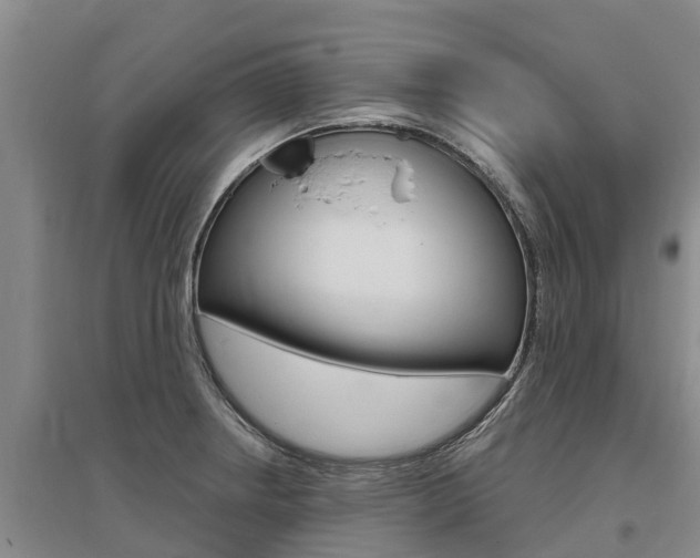X0000095931234200801110910
