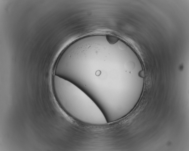 X0000095931235200801110910