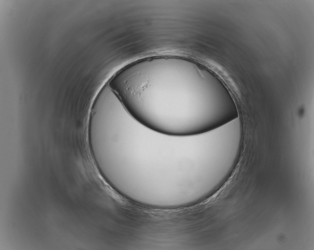 X0000095931236200801110910