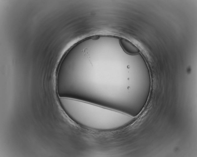 X0000095931238200801110910