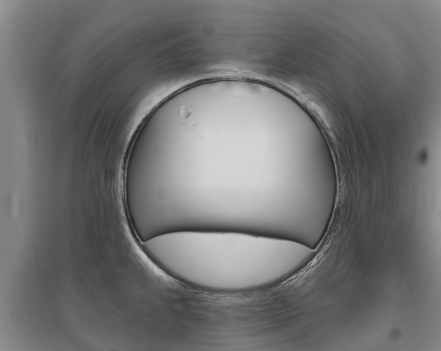 X0000095931239200801110910
