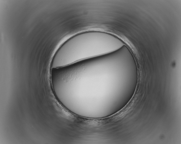 X0000095931240200801110910