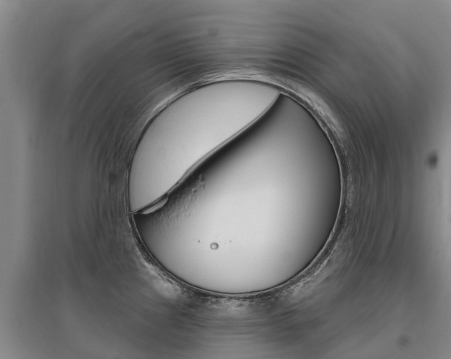 X0000095931241200801110910