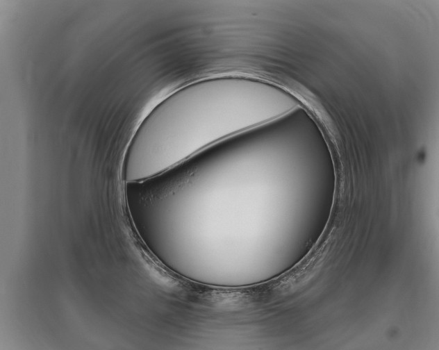 X0000095931242200801110910