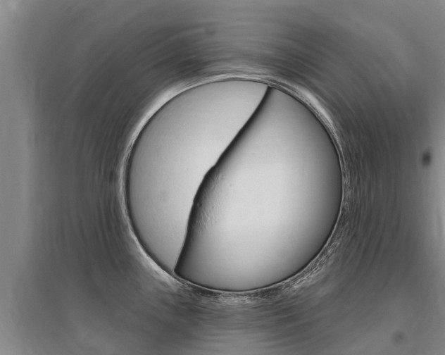 X0000095931243200801110910