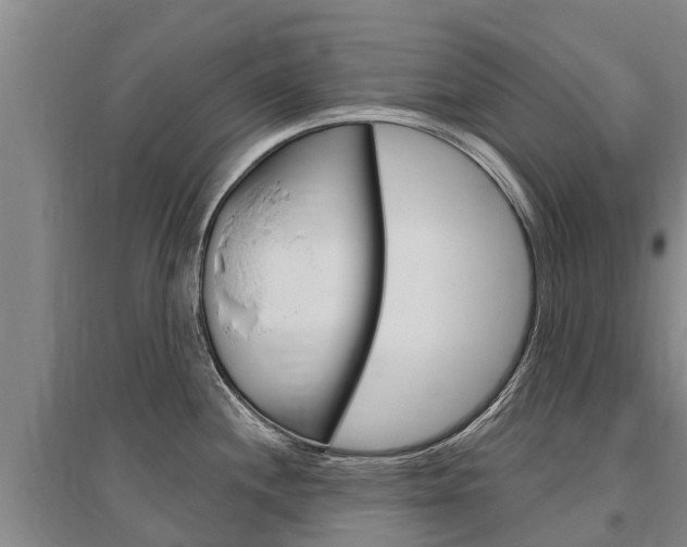 X0000095931244200801110910