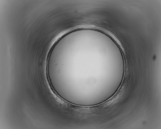 X0000095931245200801110910