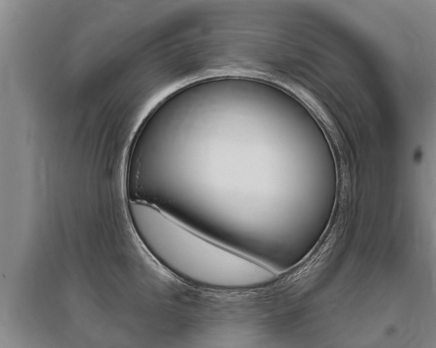 X0000095931246200801110910