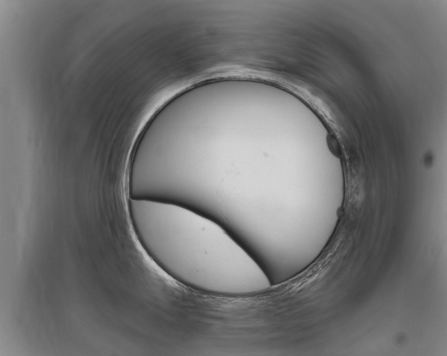 X0000095931247200801110910