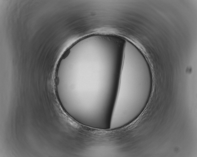 X0000095931248200801110910