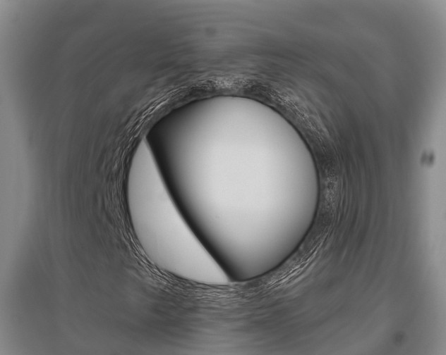 X0000095931249200801110910
