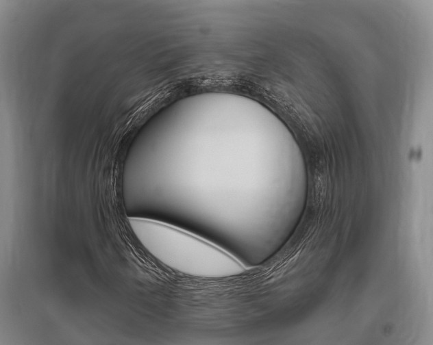 X0000095931250200801110910
