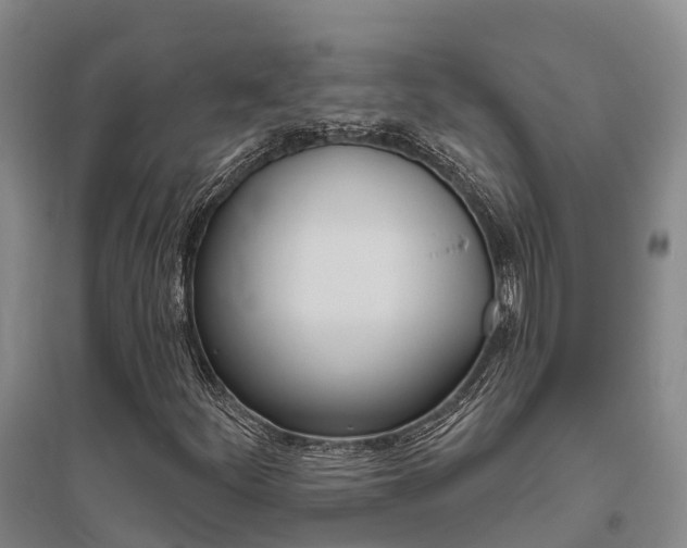 X0000095931252200801110910