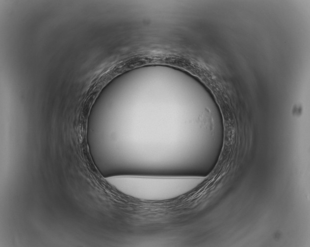 X0000095931253200801110910